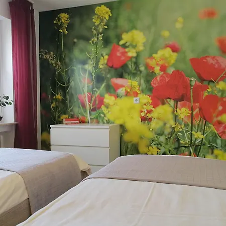 Haus Abendsonne Hochparterre Klein Koblenz (Rhineland-Palatinate)